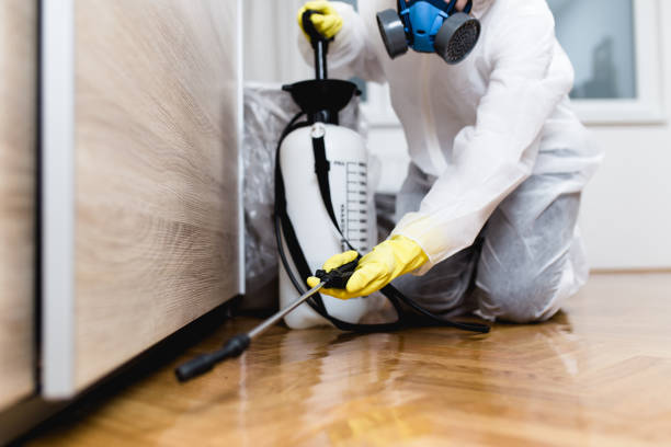 Best Rat Extermination Near Me  in Gambrills, MD