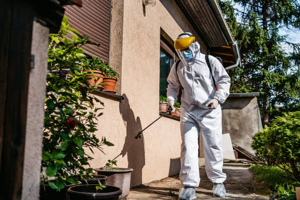 Best Insect Control  in Gambrills, MD