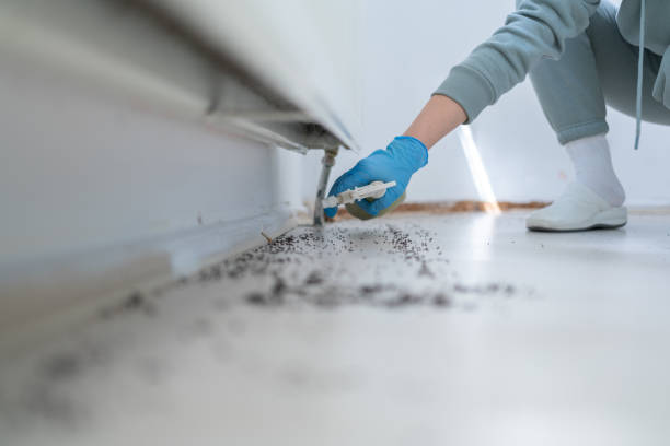 Bird Control in Gambrills, MD