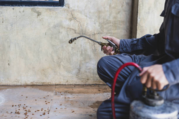 Best Residential Pest Control  in Gambrills, MD