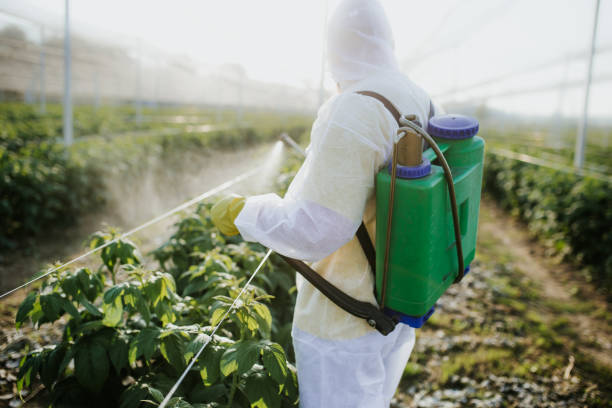 Pest Control for Restaurants in Gambrills, MD